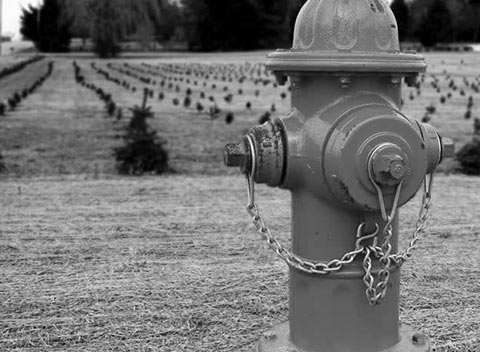 会员商城正版的DDOS测试